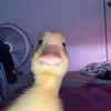 Evan Mendes - @evan.mendes6 - TikTok