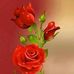 Evans Mwangy - Facebook