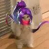evanmertens746 - @mertz613 - TikTok