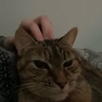 Evan Messinger - @evanthegreat_21 - Instagram