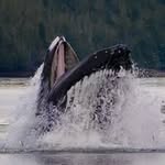 Evan Michaelson - @fisherguy17 - Instagram