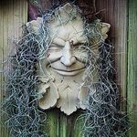 Evan Middleton - @greenmansgrove - Instagram