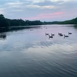 Evan - @evan_millman - Instagram