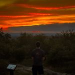 Evan Molnar - @evan.molnar - Instagram