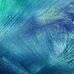 Evan Monteiro - Facebook
