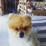Evan morin - @evan.morin1106 - Instagram