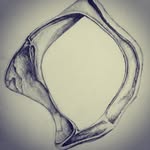 Evan Mortimer - @e.mortimer - Instagram