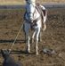 Evan Mudge - Facebook