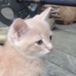 Evan.naugler - @evan.naugler2 - Instagram