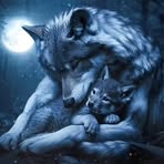 Evan Needham - Facebook