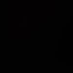 Evan - @evanneff70 - Instagram
