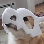 Evan Nielsen - @bun_stun - Instagram