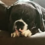 Evan Norman - @charlie_the_best2010 - Instagram