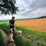 Evan North - Facebook