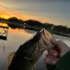 Evan North - @evan.north8 - TikTok