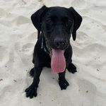 Evan Otis - @evanotis300 - Instagram
