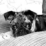 otis evans urwin - @otisevansurwin - Instagram