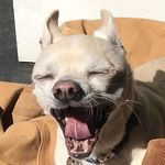 Evan Pacheco - @imnotcoolenuff - Instagram