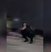 Evan Pacheco - Facebook