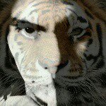 Evan Uriel Tenorio Pacheco - @evan.tenorio88 - Instagram