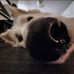 Evan Packowski - Facebook
