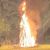 evan - @evan.parent - TikTok