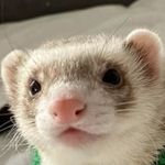 evan parkhurst - @parkhurstevan - Instagram