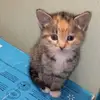 Evan Parkhurst - @evan.parkhurst - TikTok