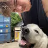 evan parsons - @nottherealep - TikTok