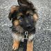 Evan Patterson - Facebook