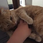 Evan Pederson - @evanjp18 - Instagram