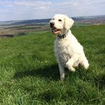 Evan Perkins - @_evan_perkins - Instagram