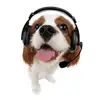 Evan - @el_evan_perron_2009 - TikTok