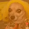 evanperron - @evan.perron - TikTok