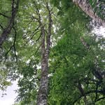 Evan Petit - @evan.petit.355 - Instagram