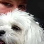 Evan Petrogalli - @evanpetrogalli - Instagram