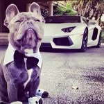EVAN - @evan_phipps267 - Instagram