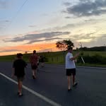 Evan Pitt - @evanpitt_ - Instagram