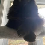 Evan Pitt - @evanpitt709 - Instagram