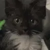 Evan Pittman - @evan.pittman56 - TikTok