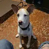 Evan Pollard322 - @evanpollard322 - TikTok