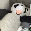 evanpollardday - @evanpollardday - TikTok
