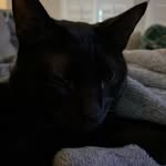 Evan ponder - @evan.pon223 - Instagram