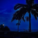 Evan Poole - @evan_poolie - Instagram