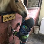 Evan Poulin - Facebook