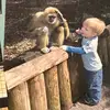 Evan Powers - @evan.powers7 - TikTok