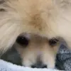 Evan.Power - @evan.power - TikTok