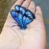 3D Drawing - @evanpresserr - TikTok