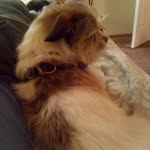 Evan Pruitt - @evanpruitt19 - Instagram