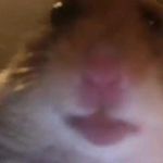 Evan Purdy - @cougarplayzyt - Instagram